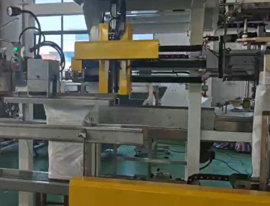 کیفیت  Dual-Lane Salt Packaging Machine Line - High-Capacity Salt Packaging Solution کارخانه